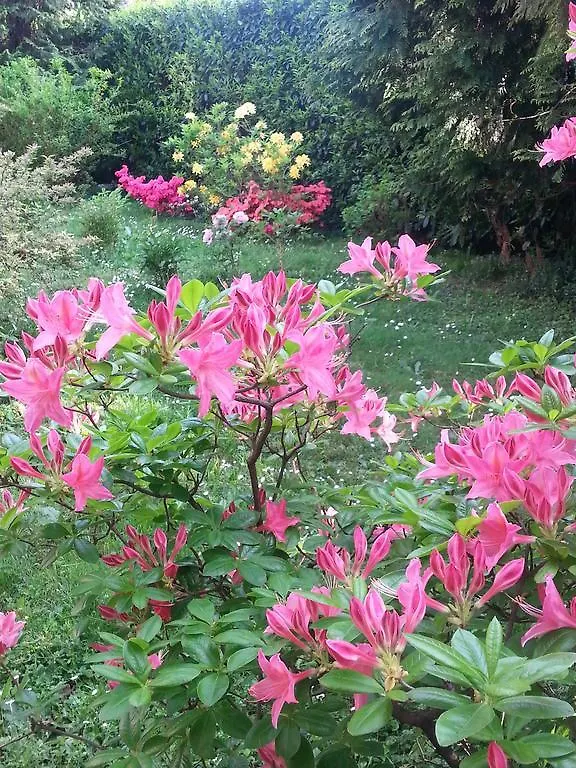 Bed & Breakfast B&B Gloria Gallarate