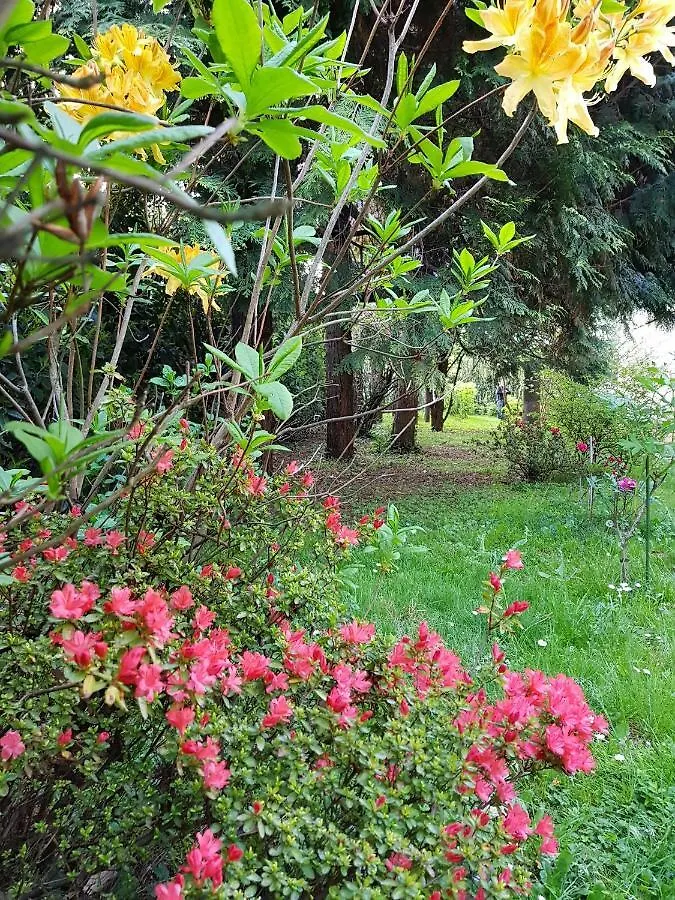 Bed & Breakfast B&B Gloria Gallarate